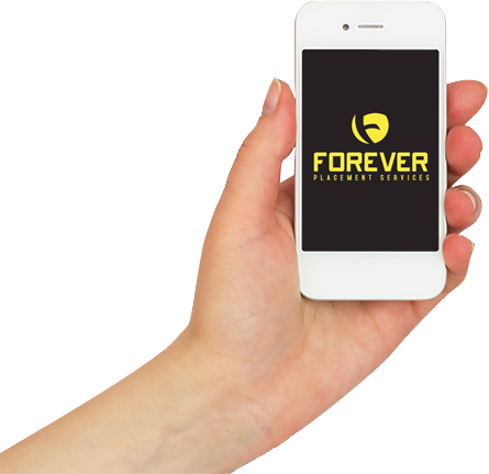 best placement in noida